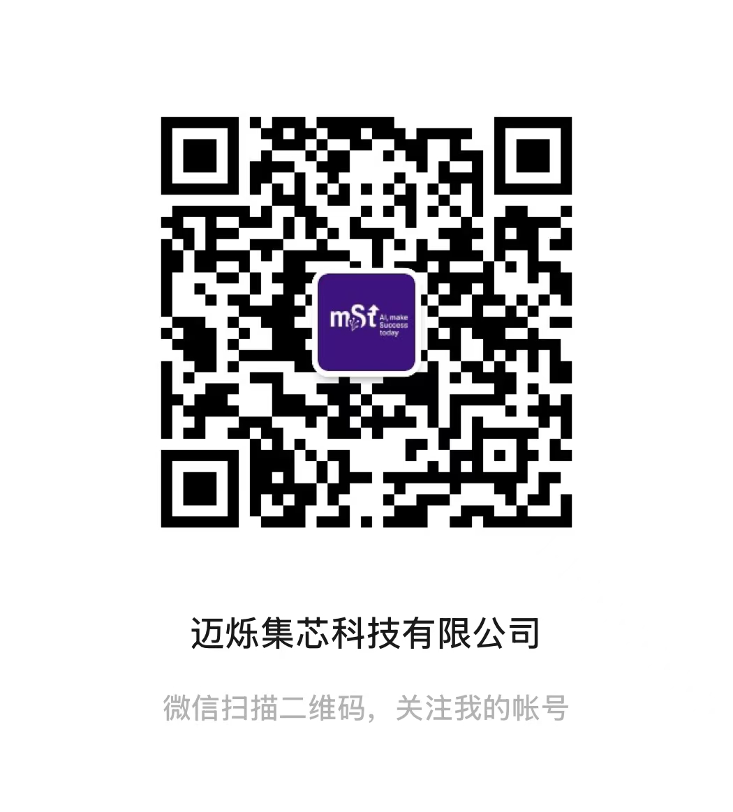 迈烁集芯科技有限公司
